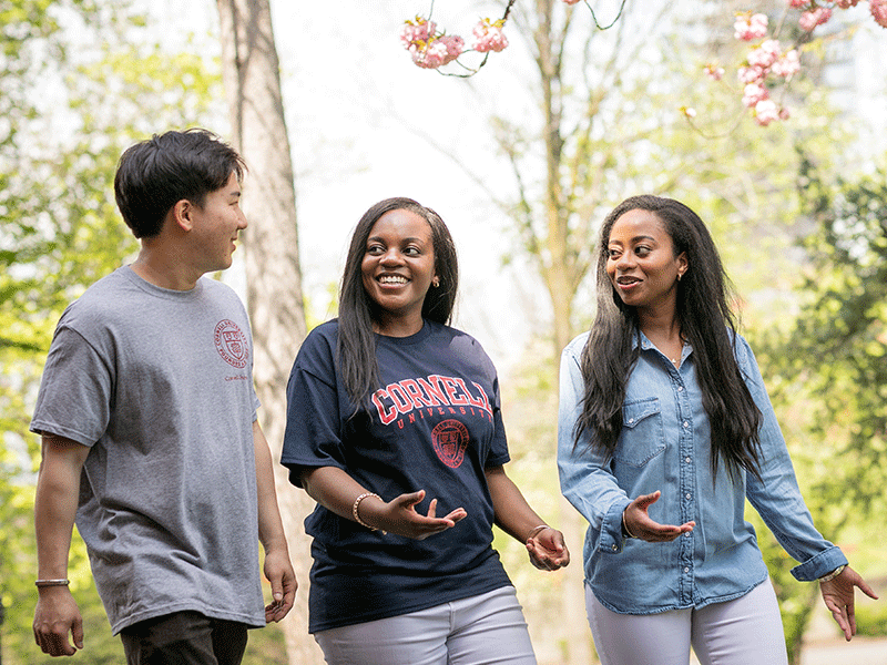 three students two female one male cornell shirt walking in Wee Stinky Glen with cherry blossums