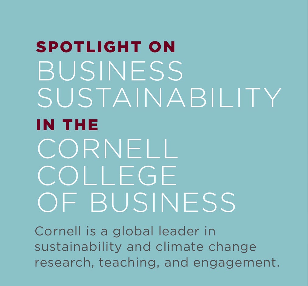 Spotlight on Business Sustainability