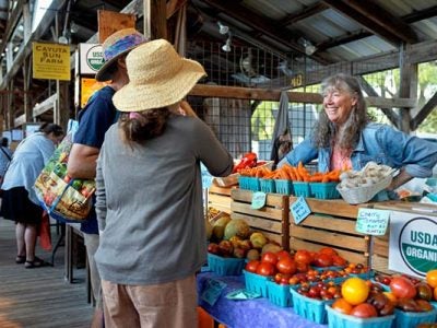 Mary McGarry-Newman sells organic heirloom tomatoes, garlic and other vegetables and fruits at the Ithaca Farmers Market.