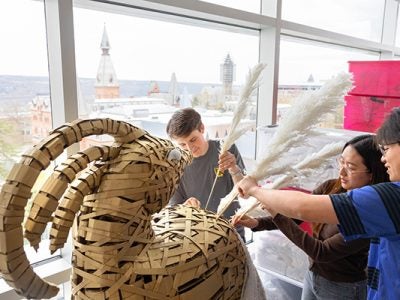 Image of two male and one female students assembling decorations in the Silver Birch Suite in Statler Hall