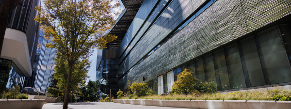 Bloomburg tech campus with sidewalk and sun shining thur trees