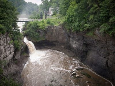 Ithaca Gorges