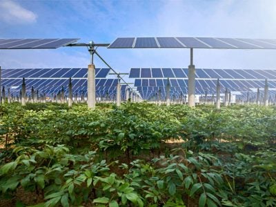 Solar panels