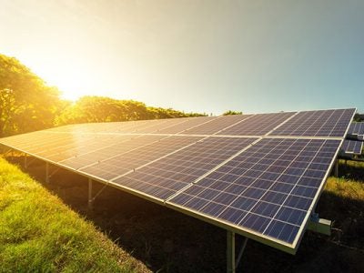 Rows of solar panels in a field under a clear sky, capturing sunlight to generate renewable energy, with the sun shining brightly in the background.