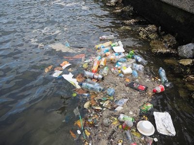 photo of San Pedro, Ambergris Caye, Belize, June 16, 2019: Single-use plastic in the sea
