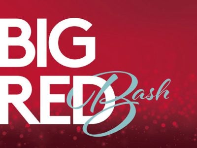graphic treatment of text: Big Red Bash
