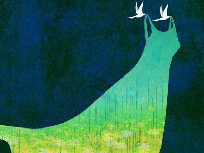 illustration of doves holding up a dress
