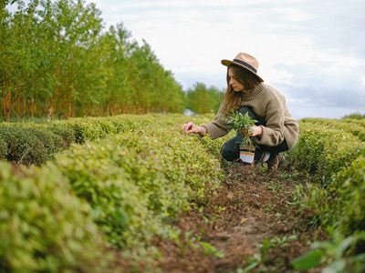 Woman working on a ranch