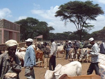 Men gather with livestock in a parched landscape.