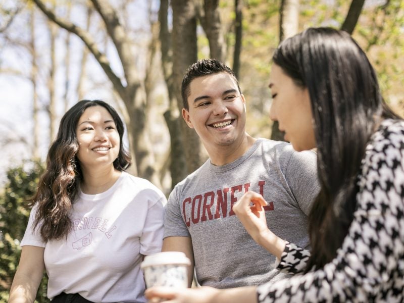 Three Cornell MBA students, two women and one man, meet and discuss the coursework outdoors in the shade of a tree
