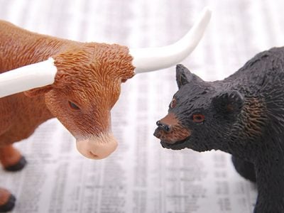 Photo of the Wall Street bear and bull metaphor for Karolyi Marketplace insights