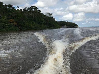 A wide body of water with land and trees on one side and the wake of a boat running down the middle.