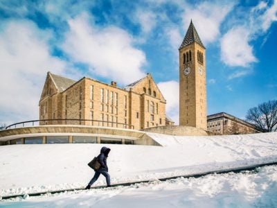 Libe Slope on Cornell's Ithaca campus