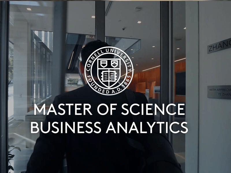 thumbnail of the video in Business analyitic