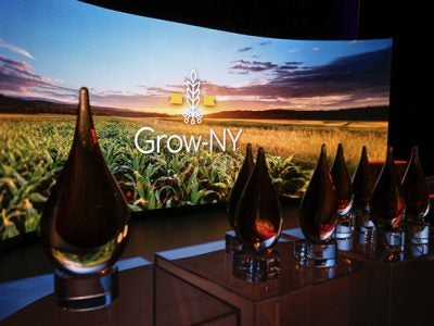 PowerPoint presentation slide with trophies