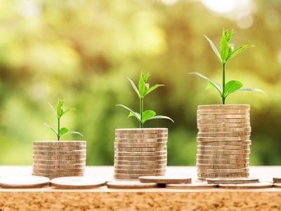 Stacks of coins with leaves
