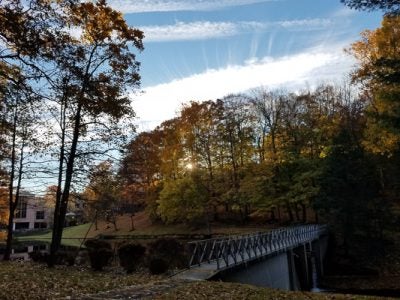 Fall scenery at Palisades