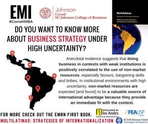 Emerging Markets business strategy