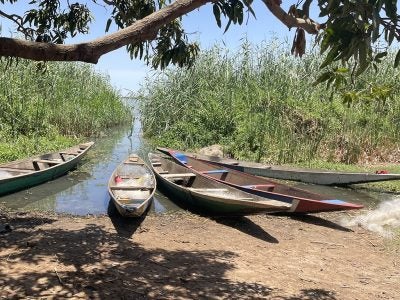 Photo of four canoes on a sandy landing at water access point in Senegal, with tall plants nearly blocking the waterway.