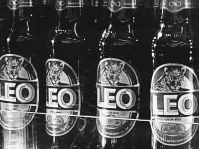Bottles of beer in a glass cooler