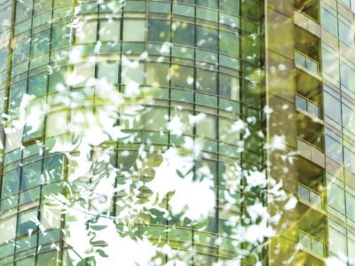 Bricks, Mortar, Profit, and the Fate of the Earth