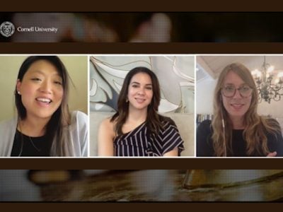 A panel of experts discuss the topic on a zoom style webinar.
