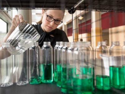 A girl pours bright green drinks