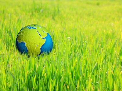 Can Africa Feed the World?