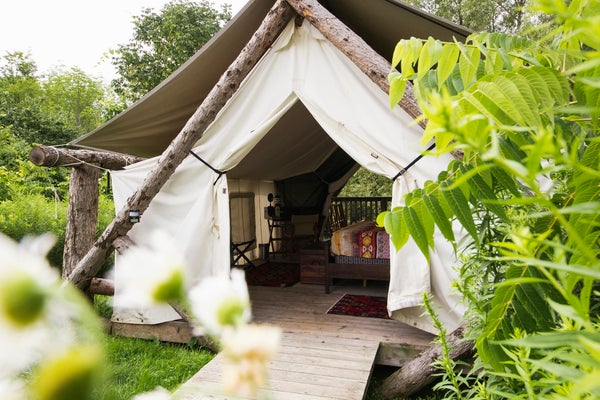 A Firelight Camps tent peaks out from behind greenery.