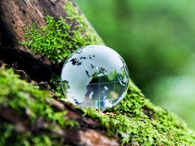 glass globe (showing Africa and Asia) on mossy tree trunk