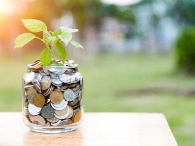 Jar of coins with a plant growing out of it