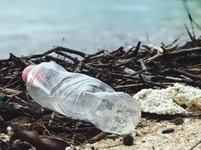 An empty plastic water bottle rests on the bank of a body of water
