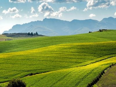 Rolling hills used for agricultural purposes
