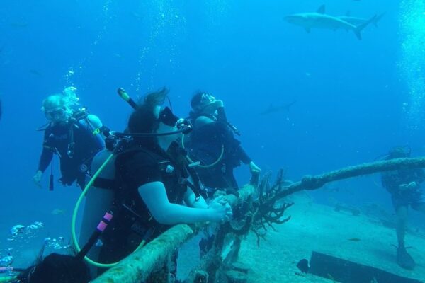 Cornell MBA students scuba dive as part of an expedition where experiential learning is the focus