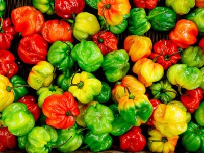 Peppers
