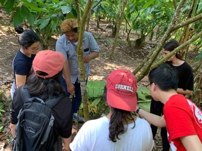 Students look at plants with their guide