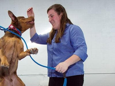 Startup Snapshots: Fun and games at doggy daycare