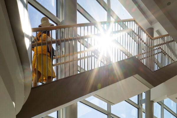 Upward-looking view of floating staircase with young woman walking up with sun beaming through a large glass wall behind her at the Nolan School's Statler Hall at Cornell University