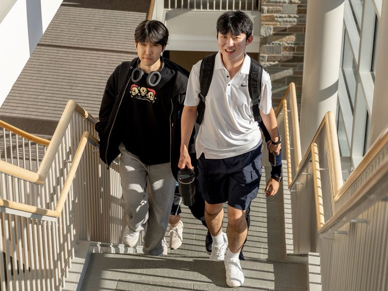 Two students climbing stairs in Statler Hall