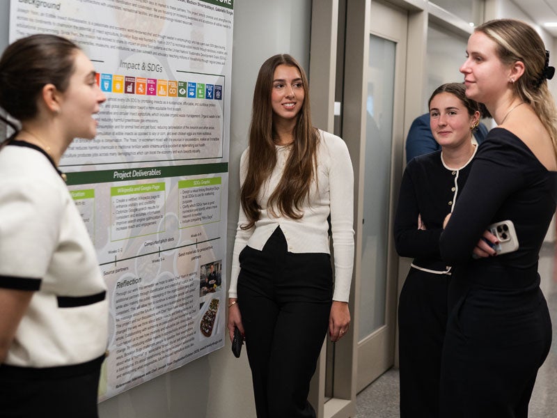 Dyson Grand Challenges students looking at their poster