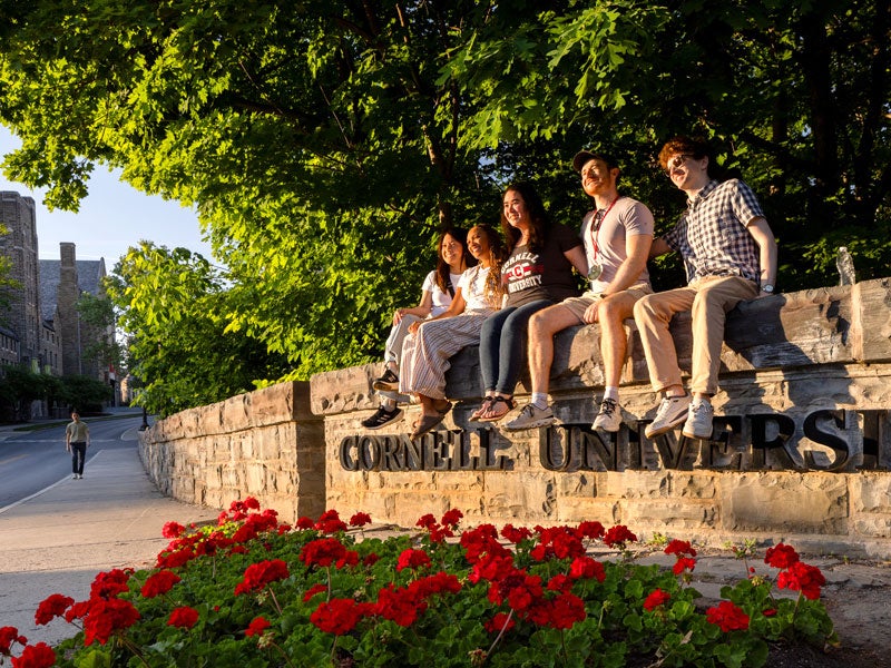 Students sitting on Cornell wall sign
