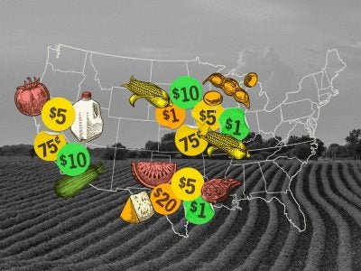 Outline of the United States of America with images of food and price tags superimposed.