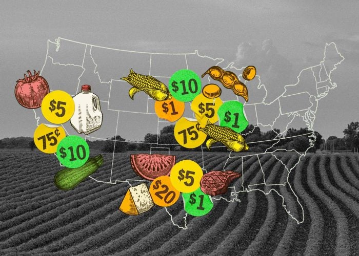 Outline of the United States of America with images of food and price tags superimposed.