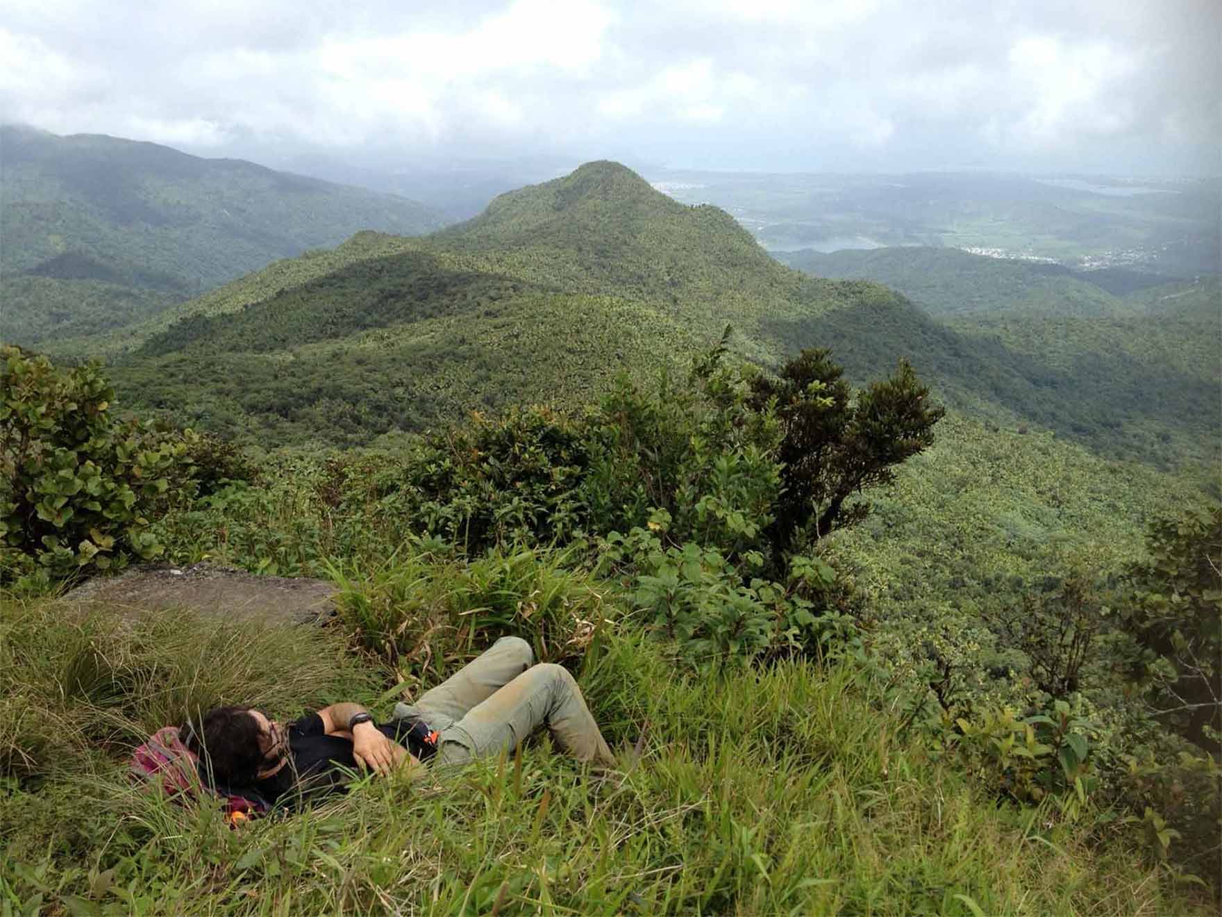 A person rests in the grass looking at a mountain.