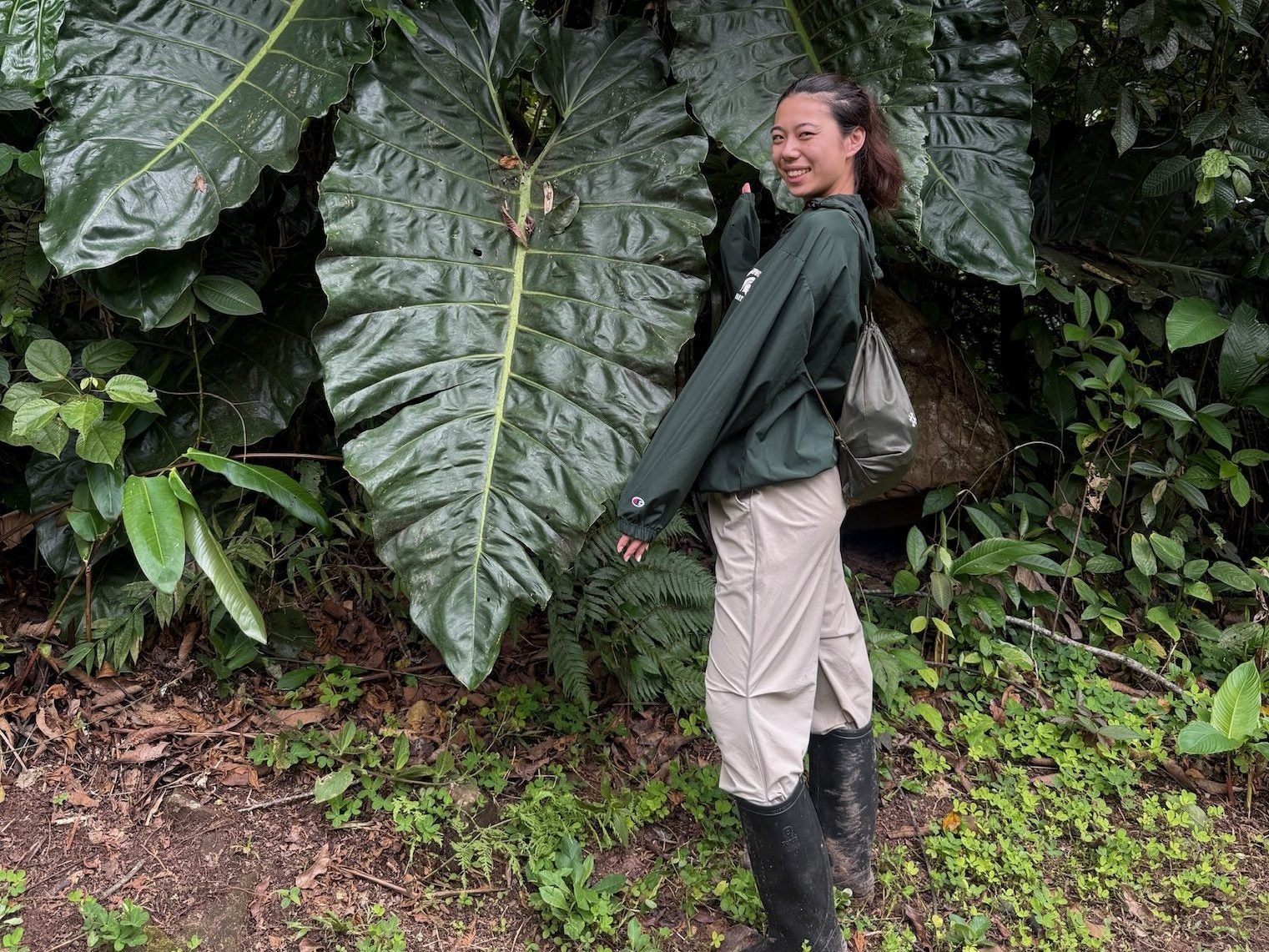 A Dyson student standing in front of a very large leafy plant while on a trip to Peru to help a Peruvian learning center dedicated to the restoration of the Amazon rainforest as part of the Grand Challenges program.