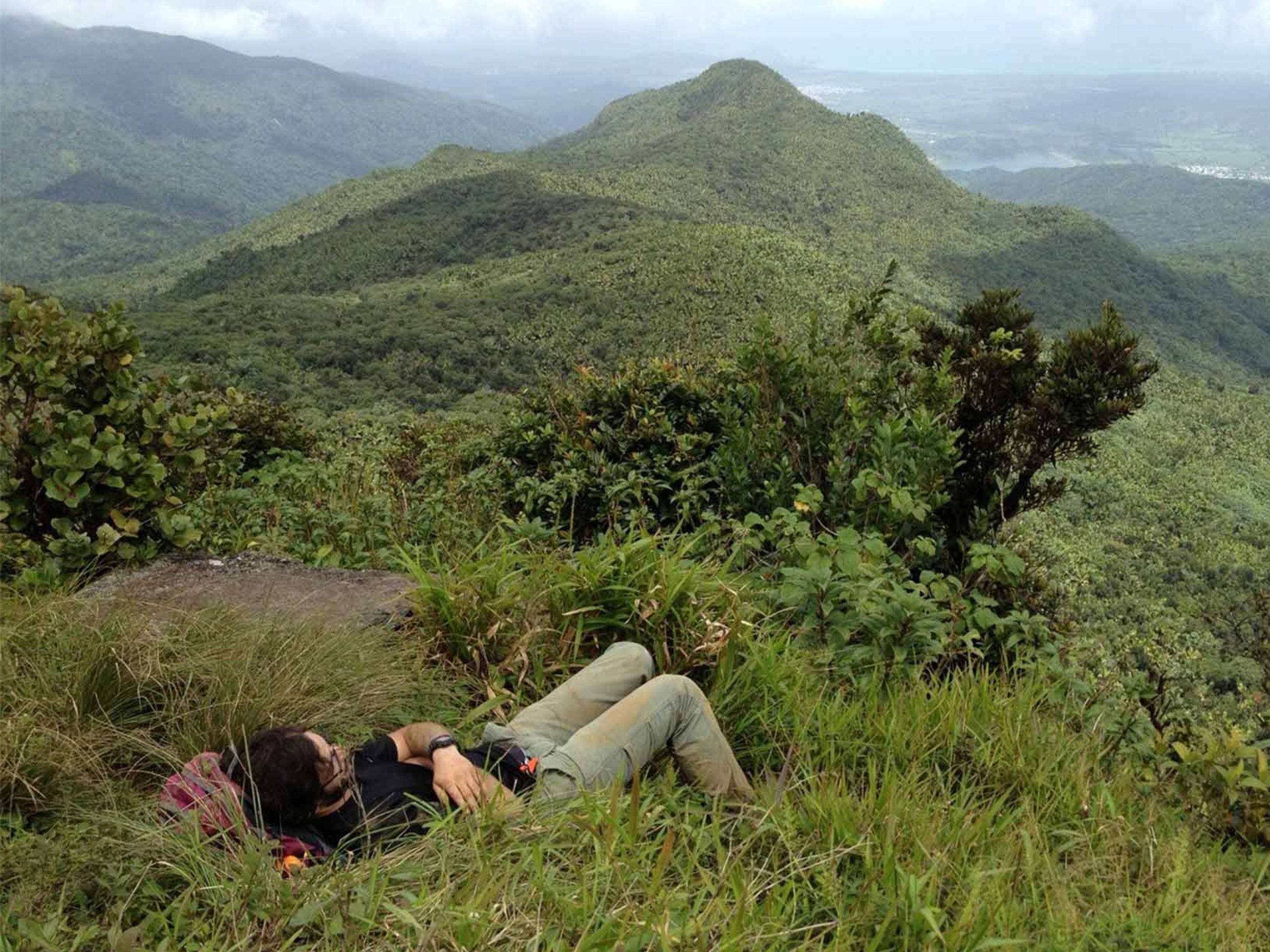 A person rests in the grass looking at a mountain.