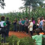 Cornell students in Kenya; photo provided by Ed Mabaya