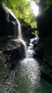 Watkins Glen State Park is one of the many nearby state parks worth exploring!