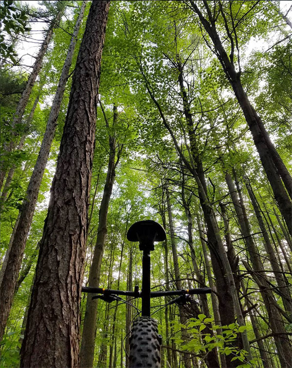 Shot taken in the lower red trails at Shindagin Hollow State Forest