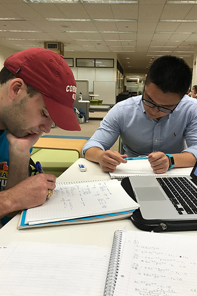 Students working together in Mann Library